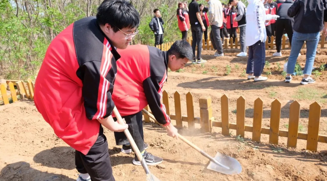 锦州市渤海中等职业技术学校特色劳动教育课堂——“希望格子”种植活动